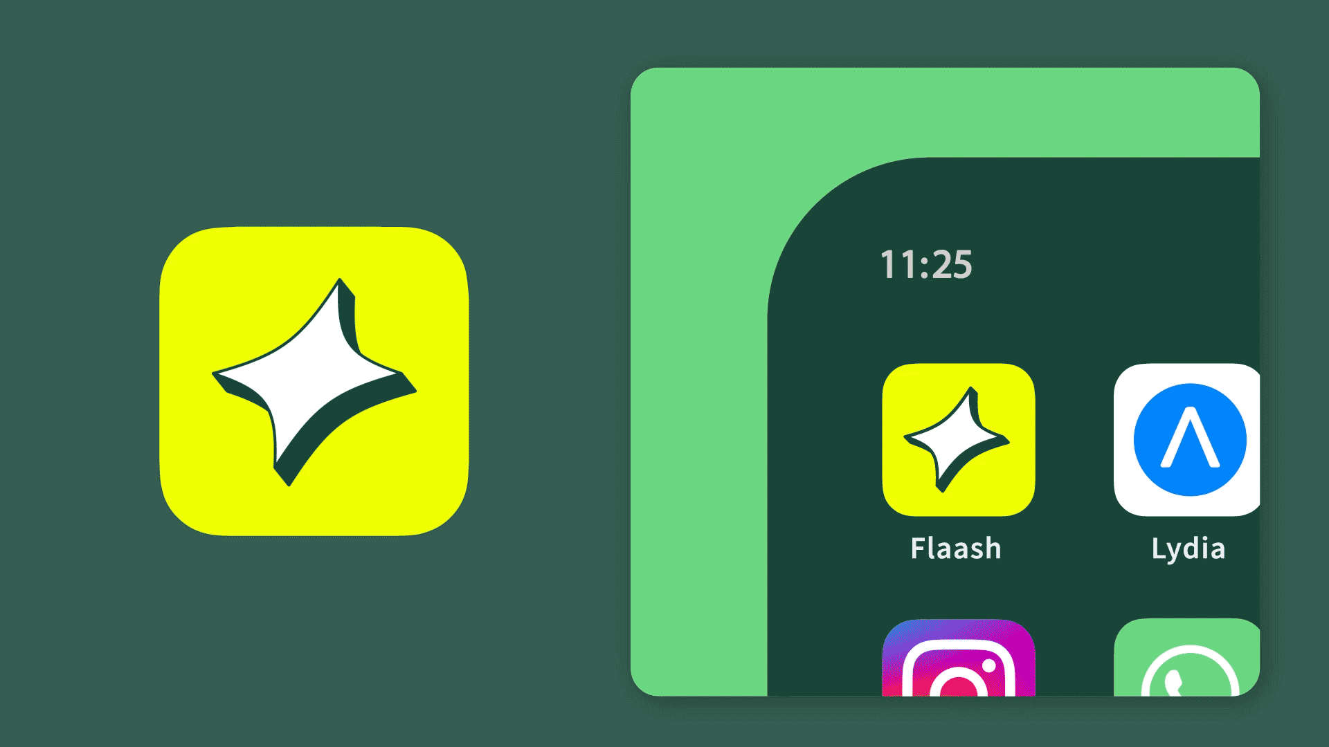 PAGE-ICON-FLAASH_TEST